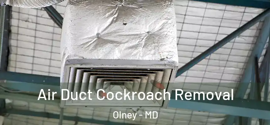  Air Duct Cockroach Removal Olney - MD