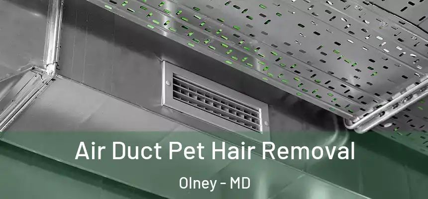 Air Duct Pet Hair Removal Olney - MD