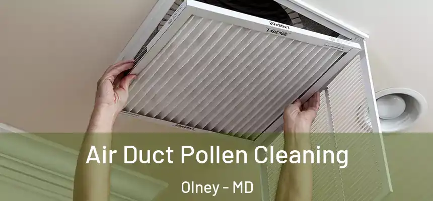 Air Duct Pollen Cleaning Olney - MD