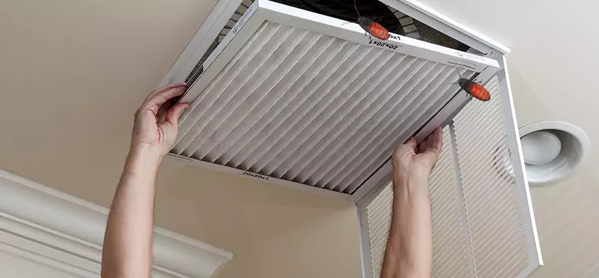 Preventive Cockroach-Proofing for Ducts in Olney
