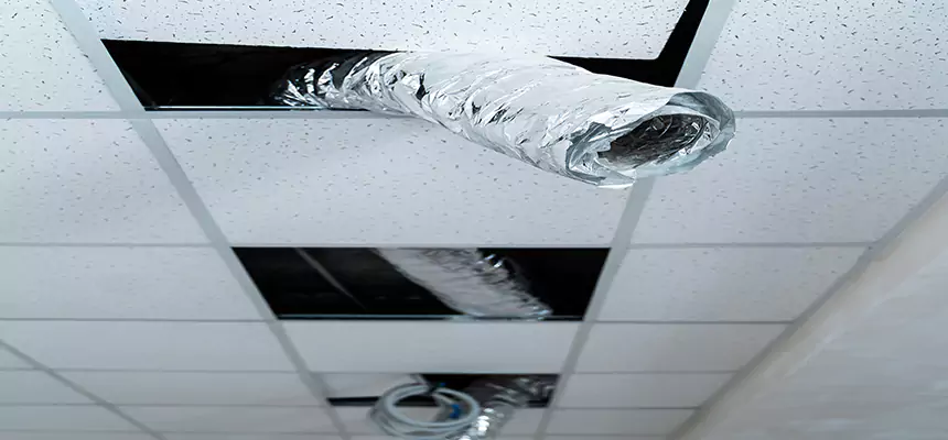 Affordable HVAC Sanitizing After Pest Removal in Olney