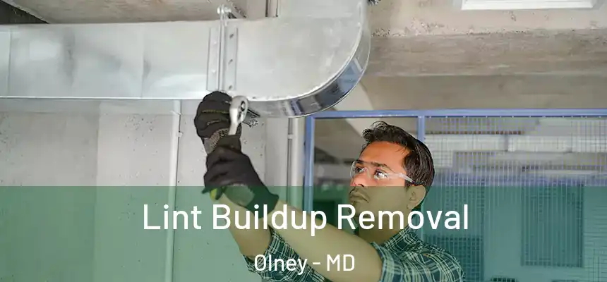  Lint Buildup Removal Olney - MD