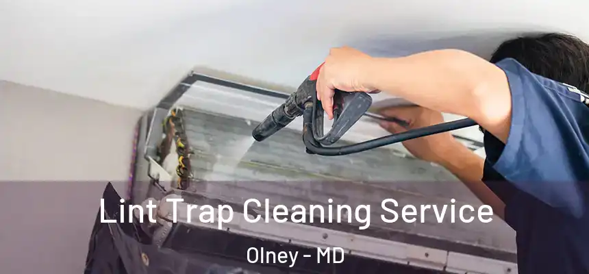 Lint Trap Cleaning Service Olney - MD