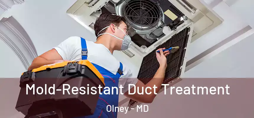  Mold-Resistant Duct Treatment Olney - MD