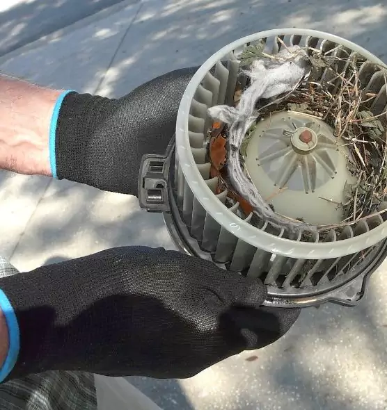 About Air Duct Mice Removal in Olney, MD