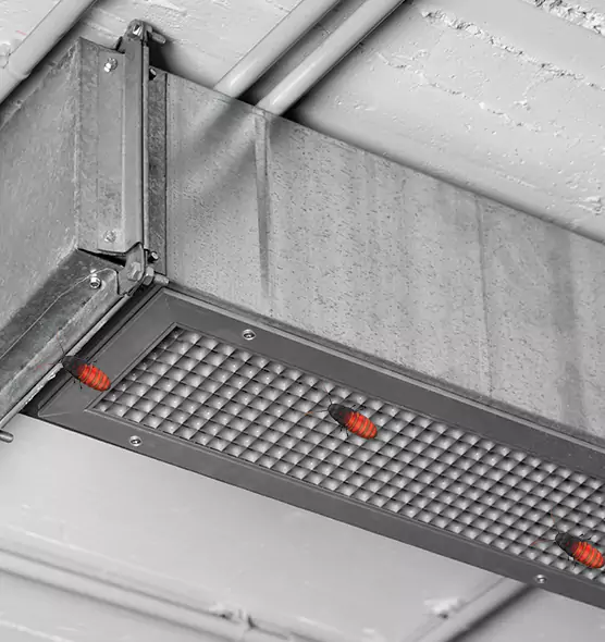 Affordable Insect Removal from Air Ducts in Olney, MD