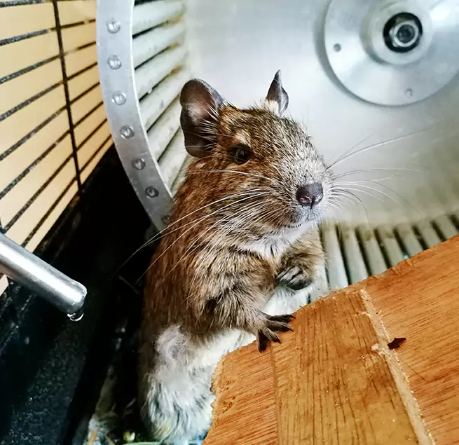 Why Homeowners & Businesses Trust Us Olney, MD