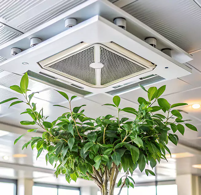 Why Homeowners & Businesses Trust Us in Olney, MD?