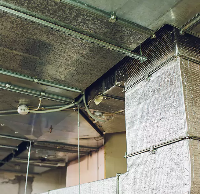 Why Homeowners & Businesses Trust Us in Olney, MD?